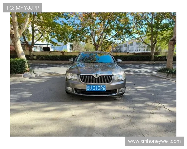 11年上牌的斯柯达昊锐,车况好大空间配置高,聊聊这车能卖多少钱