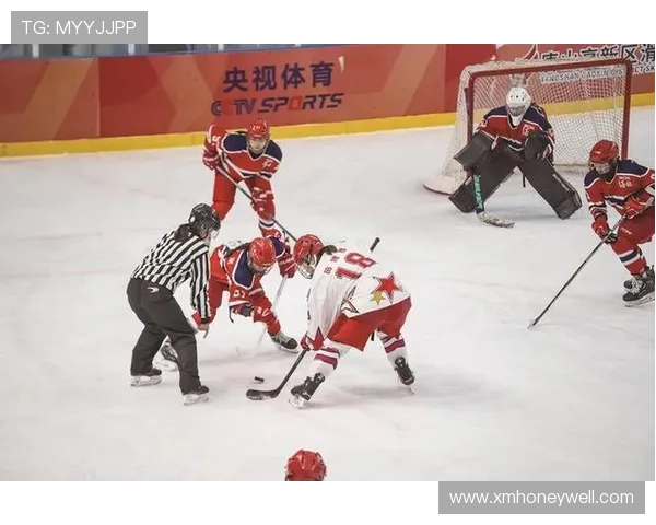 体育职业联赛的作用（体育联赛有哪些）sports