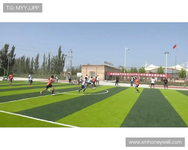 在非洲组织乡村足球赛事（在非洲的足球队）sports